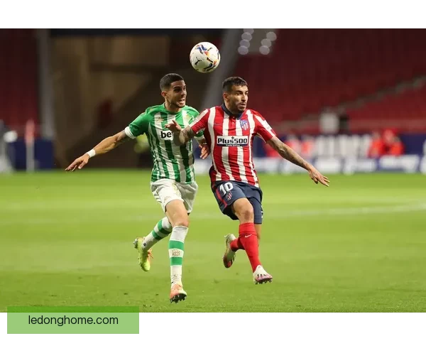 世界杯竞猜赔率对比分析与投注策略详解助您精准预测赛事结果